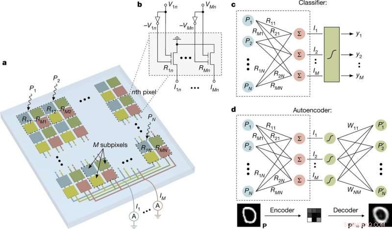 Accelerating Machine Vision with In‑Sensor Computing