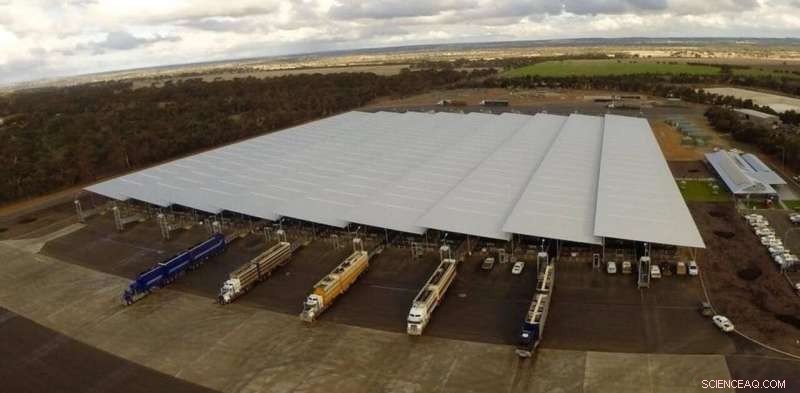 Ransomware Strikes Sheep Farmers: A Wake‑Up Call for Robust Cybersecurity