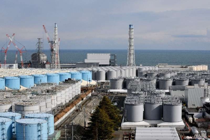 Fukushima Radiation Hotspots Ahead of Olympics: Assessing the Real Risks