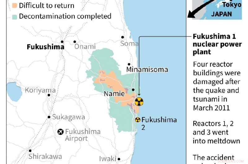 Fukushima Radiation Hotspots Ahead of Olympics: Assessing the Real Risks