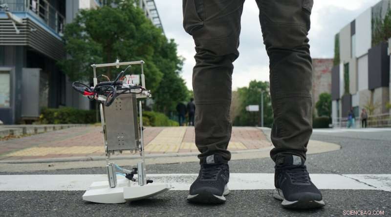 PedestriANS: Adaptive Bipedal Robot That Adjusts Walking Style to Environmental Conditions