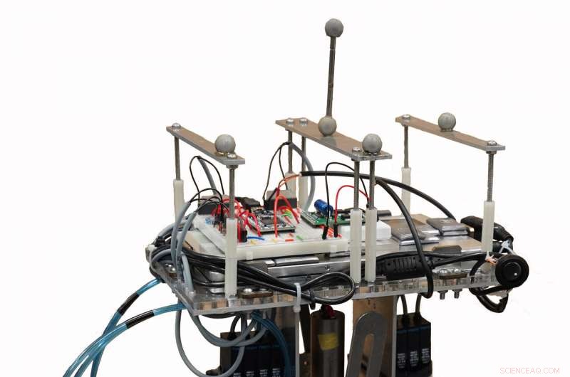 PedestriANS: Adaptive Bipedal Robot That Adjusts Walking Style to Environmental Conditions