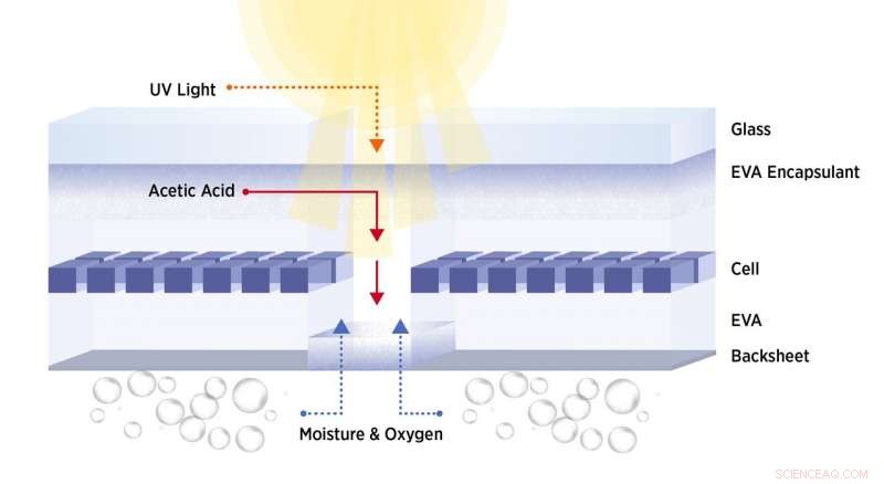 New Study Identifies Key Factor Behind Early Solar Panel Failures