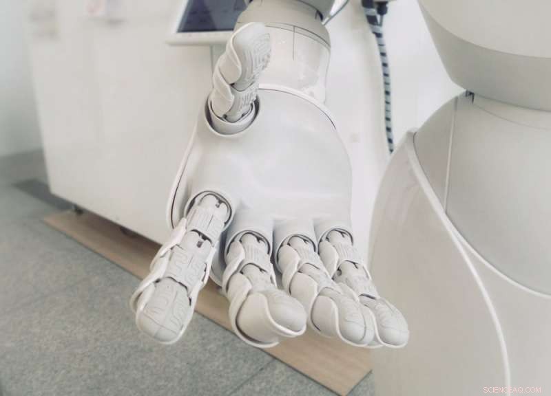 Forgiveness Toward Machines: A Study on Ethical Acceptance of Robotics and AI