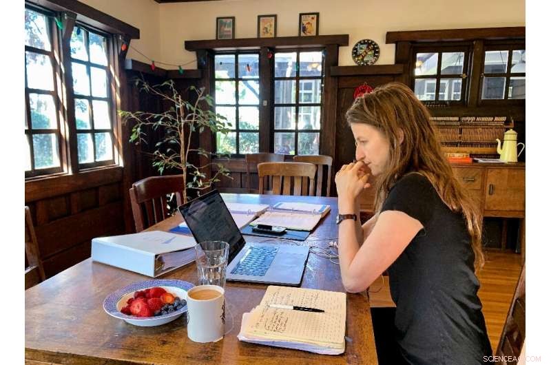 How Silicon Valley Professionals Stay Safe and Productive During COVID-19 Lockdown