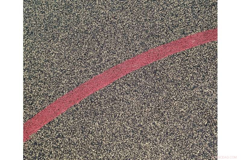 Enhanced Robot Path Planning with a Flower Pollination Algorithm