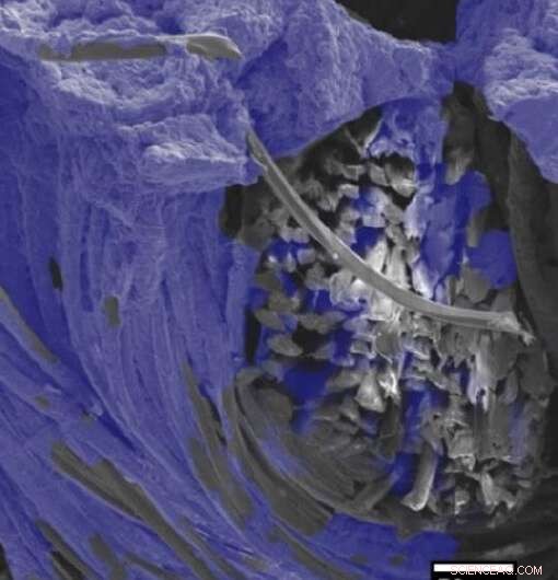 Sustainable Manufacturing of Soft‑Robot Sensors for a Greener Future