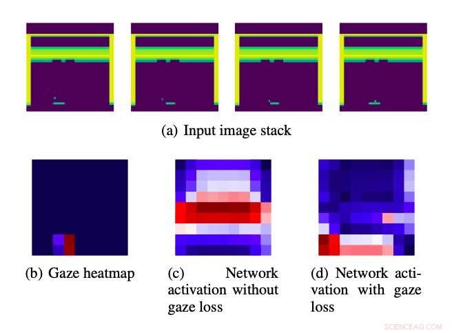 Leveraging Human Gaze to Improve Imitation Learning Algorithms