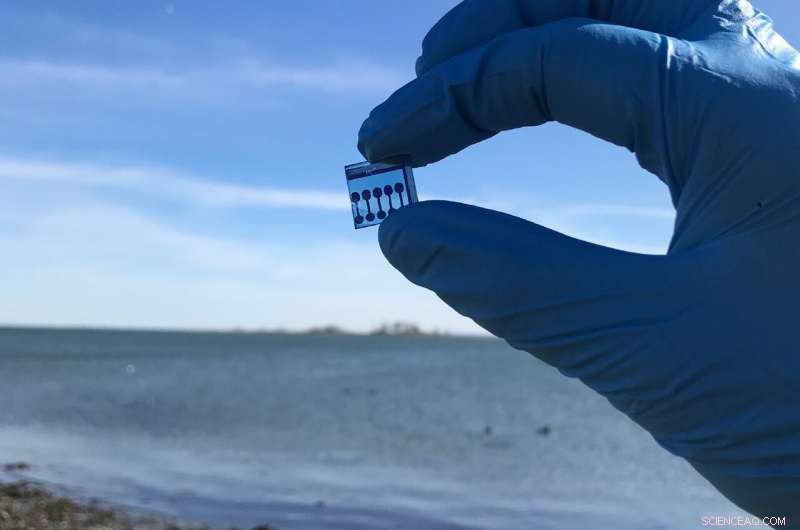 Optimal Materials for Underwater Solar Energy Harvesting