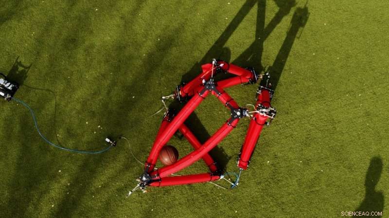 Stanford Engineers Build Shape-Changing, Autonomous Soft Robot