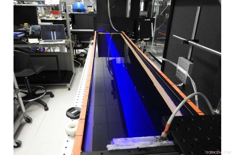 Harnessing Light: Advancing Energy and Data Transmission for the Underwater Internet of Things