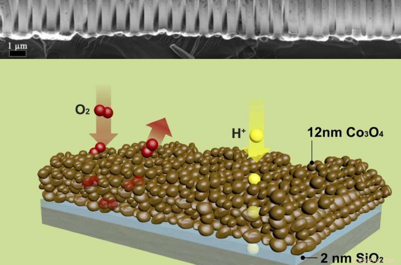 Nature‑Inspired Green Energy Breakthrough Overcomes Key Development Milestone