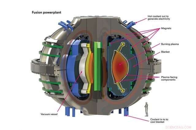 Fusion Scientists Champion the Development of a US Pilot Power Plant