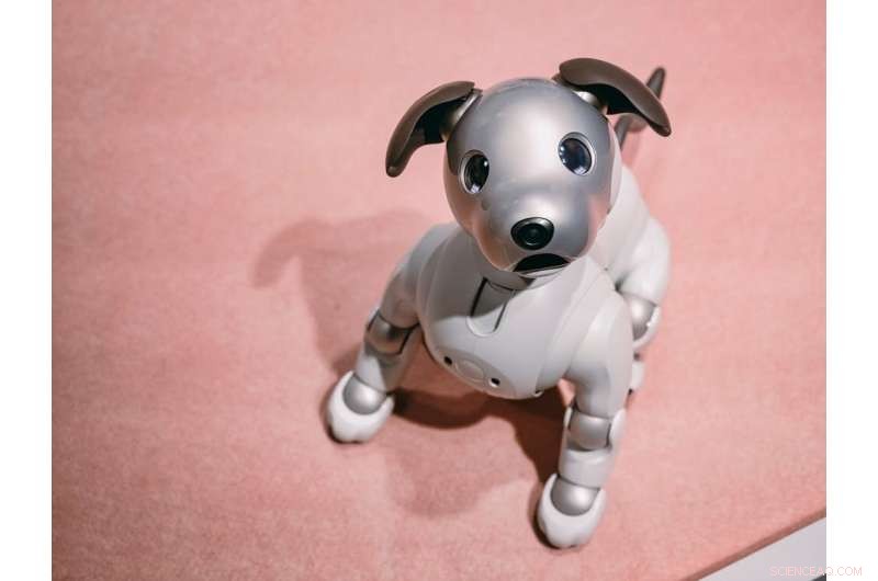 Robotic Pets in Elder Care: Balancing Monitoring Benefits with Privacy Concerns