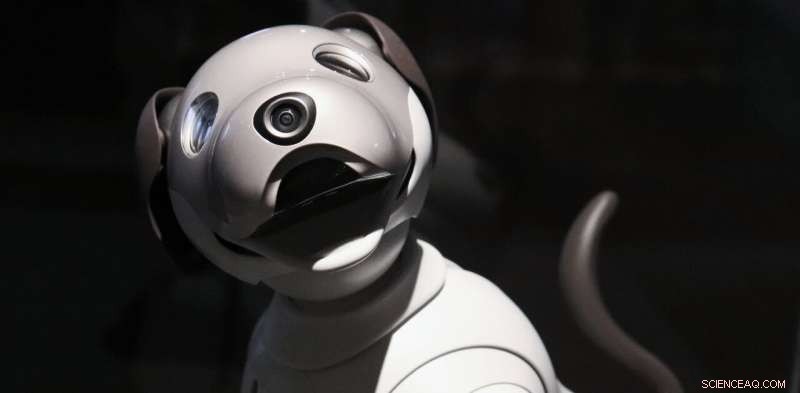 Robotic Pets in Elder Care: Balancing Monitoring Benefits with Privacy Concerns