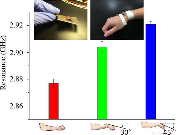 Wearable Biosensors: Revolutionizing Personalized Health & Wellness