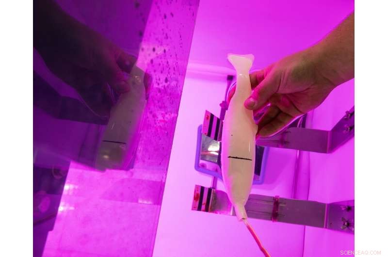 Innovative 3-D Printing and Sensor Technology Advance Hydropower Turbine Testing