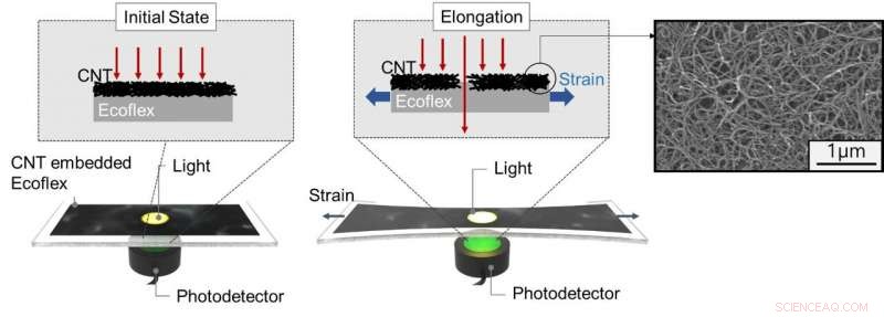 Advanced Wearable Strain Sensor Uses Light Transmittance for Precise Physical Signal Measurement