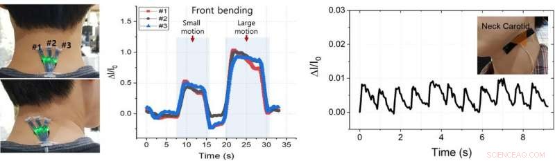 Advanced Wearable Strain Sensor Uses Light Transmittance for Precise Physical Signal Measurement