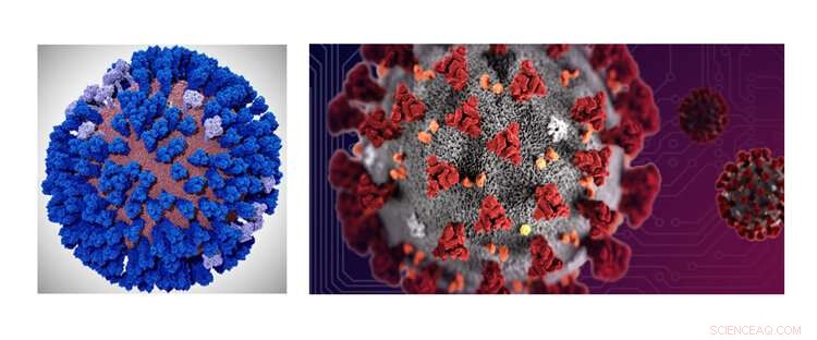 UC San Diego Lab Completes Extensive Coronavirus Simulations on Frontera Supercomputer