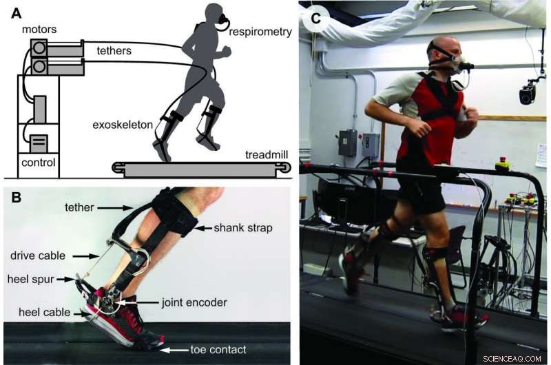 Engineers Discover Ankle Exoskeleton Boosts Running Performance