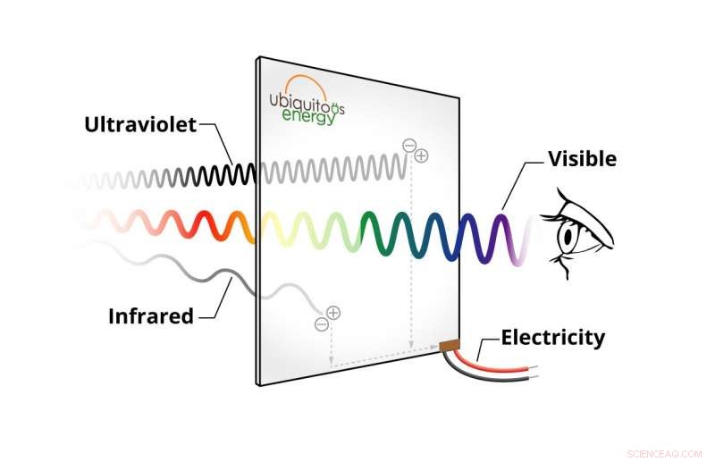 Start-Up Unveils Transparent Solar Window, Revolutionizing Energy Capture