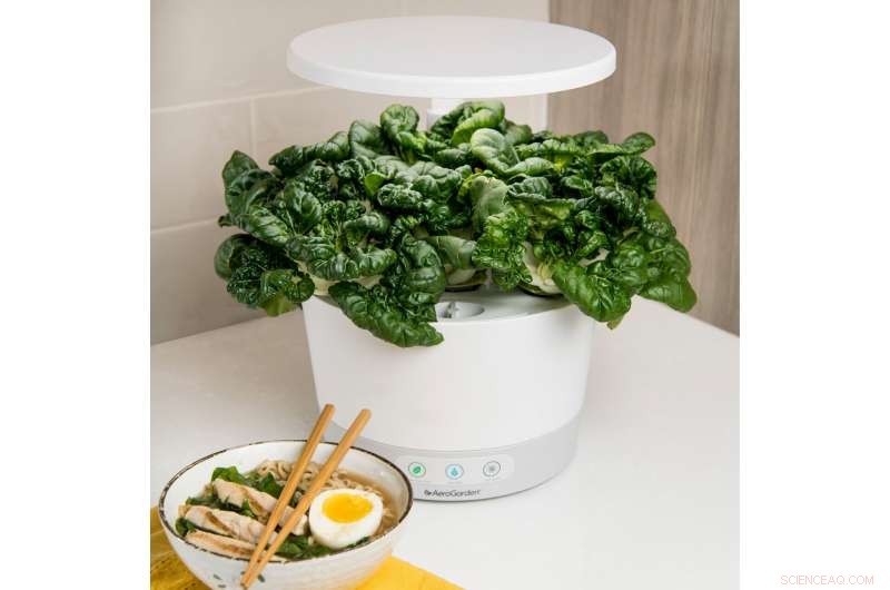 Revolutionize Your Home with Advanced High-Tech Indoor Growing Systems