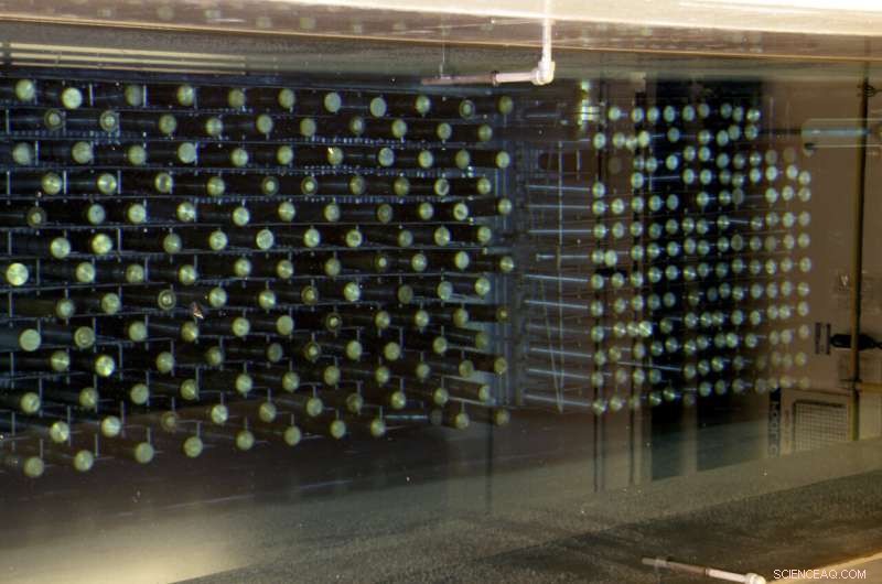 US Nuclear Waste Cleanup Deferred as COVID-19 Pandemic Intensifies