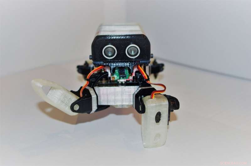 LoCoQuad: A Bio-Inspired Spider Robot for Advanced Research and Education