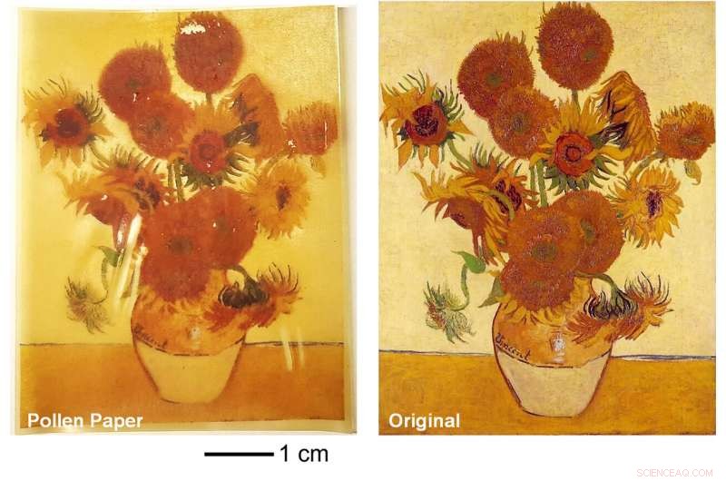 Pollen-Based Paper: A Sustainable Pathway to Next-Gen Natural Materials