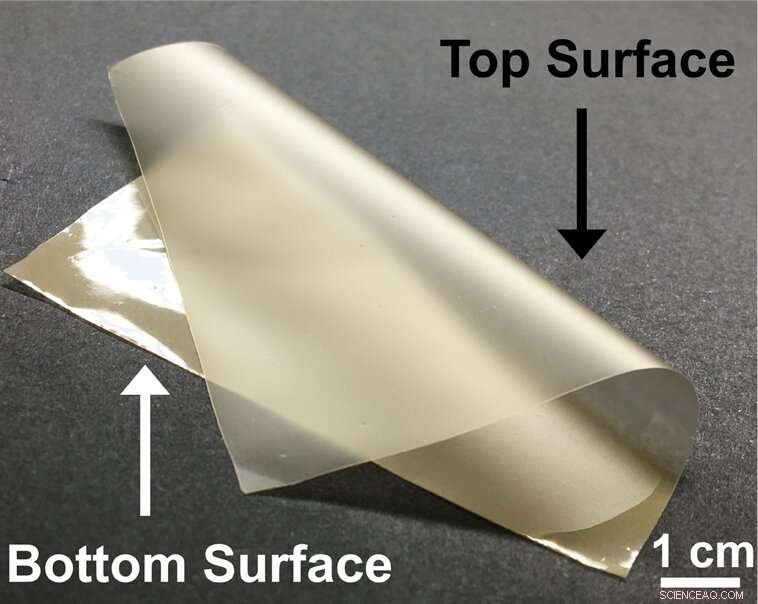 Pollen-Based Paper: A Sustainable Pathway to Next-Gen Natural Materials