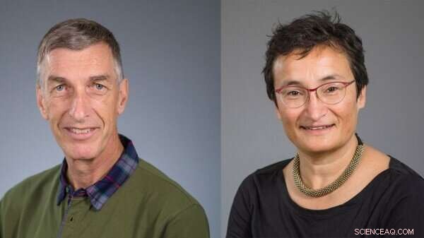 Researchers Warn: COVID-19 Tracking Apps May Pose Significant Risks