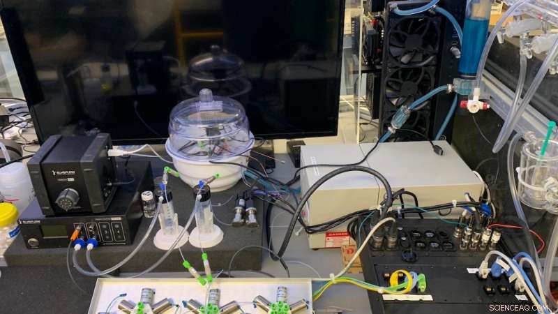 Intelligent Microsystem Accelerates Sustainable Industrial Chemistry