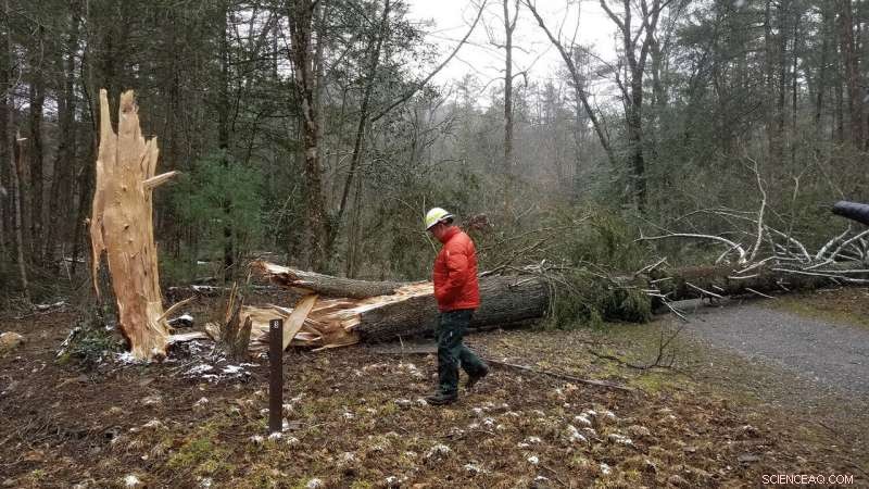 New Tools Empower Volunteers to Maximize Impact After Disasters