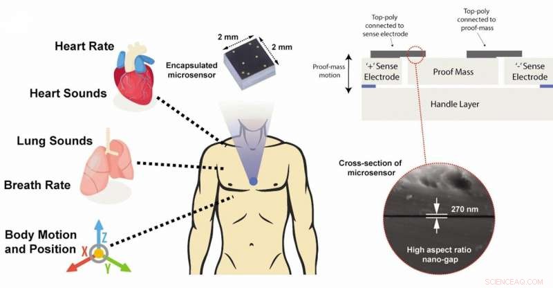 Ultra‑Miniature Chip Delivers Real‑Time Lung & Heart Monitoring