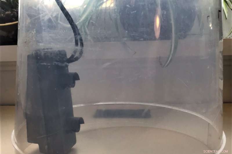 Affordable Imaging System Enables Automated Mosquito Tracking