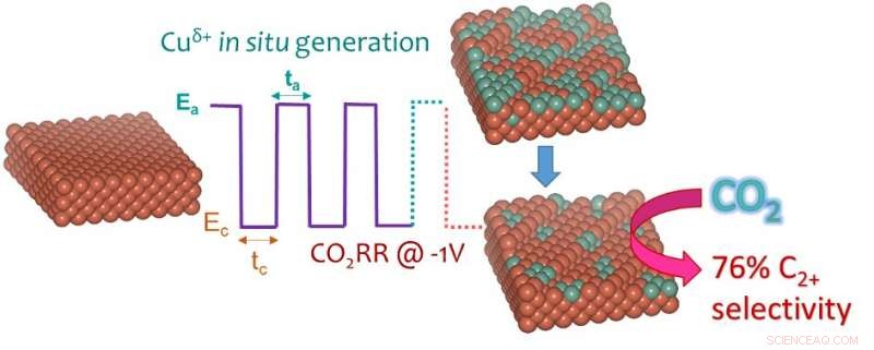 Simultaneous Optimization of Copper Catalyst Surface Structure and Oxidation State for Enhanced Performance