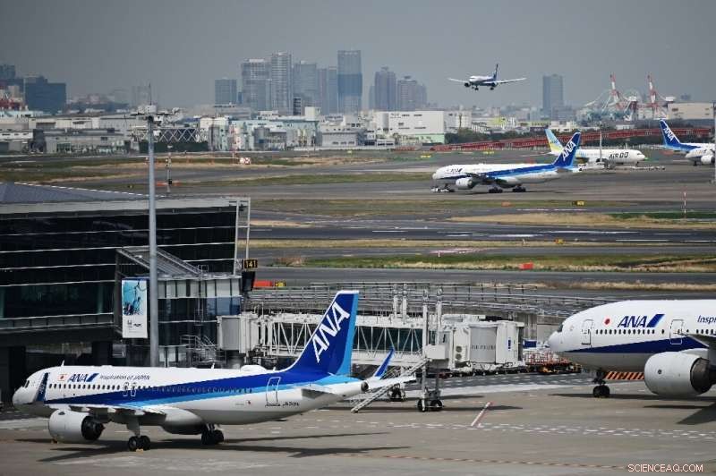 ANA Cuts Annual Net Profit Forecast by 71% Amid Pandemic‑Induced Demand Drop