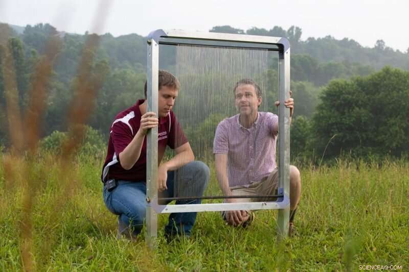 Fog Harps Efficiently Harvest Water from the Lightest Mist