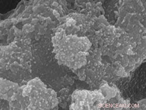 Heat Treatment Enables Precise Control of Catalytic Activity in Metal Sulfide Nanoparticles