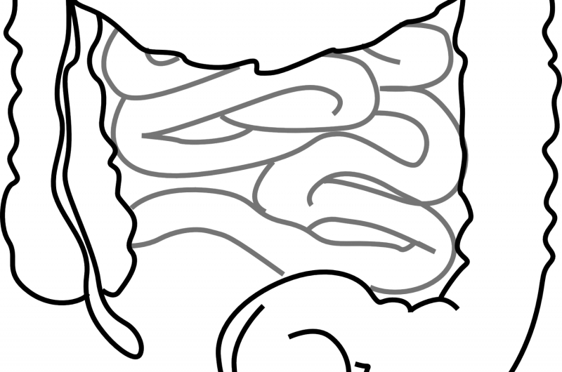 New Insight: How Gut Microbes Deconstruct Complex Sugars Reveals Potential for Therapeutic Advances