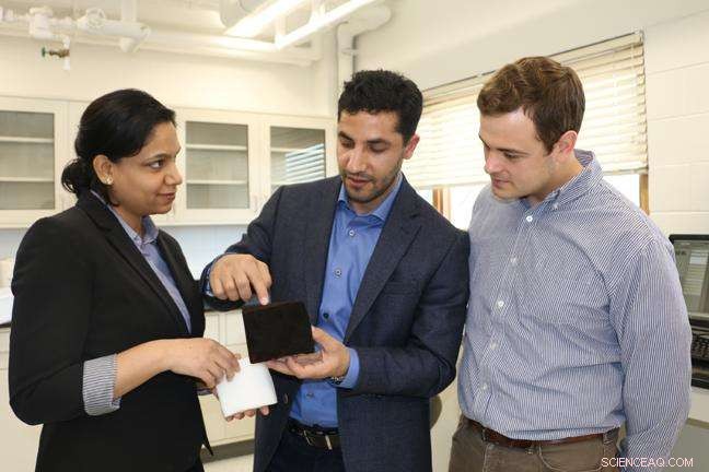 Advanced Nanotech Sponge Effectively Removes Mercury and Microbes from Lakes