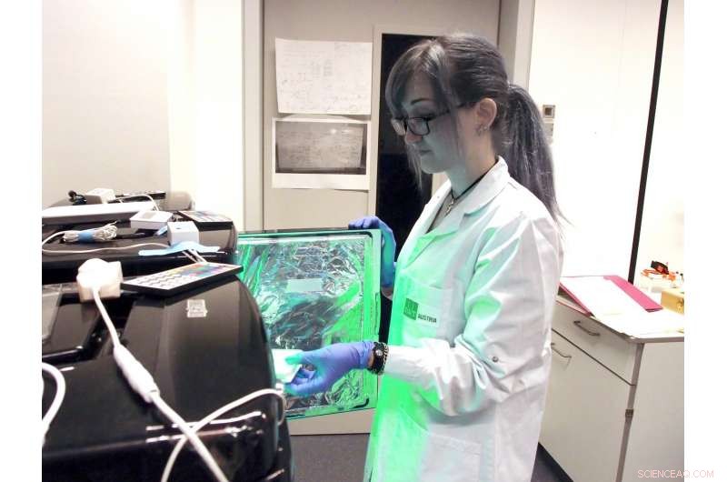 Engineered Green-Light-Responsive Receptor Enables Precise Cellular Control