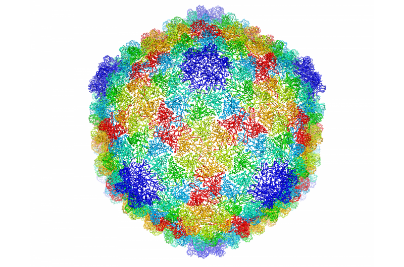 New Computational Methods Unlock Unprecedented Resolution in Cryo‑Electron Microscopy