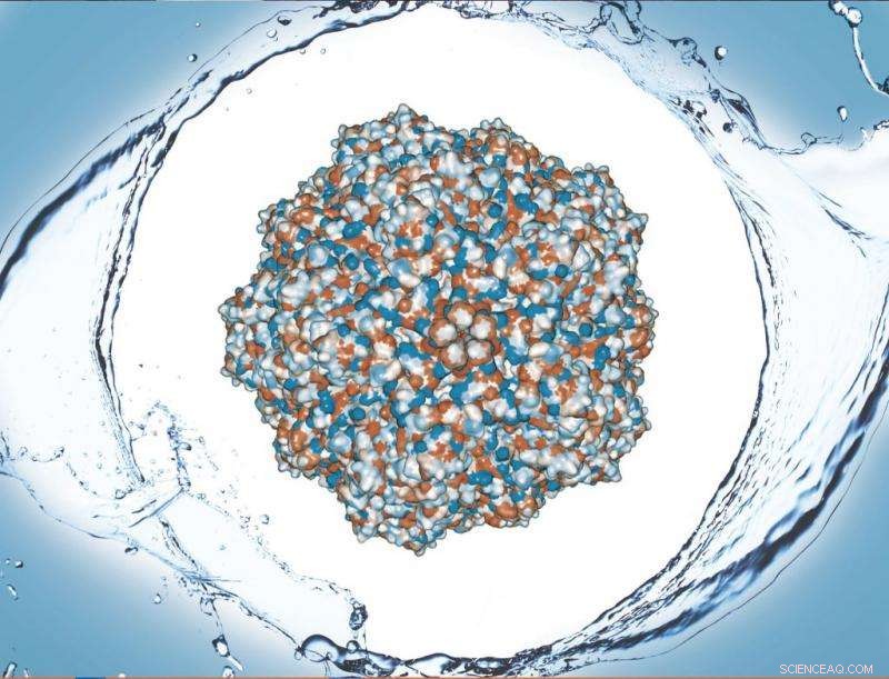 Using Virus Hydrophobicity to Enhance Vaccine Purification