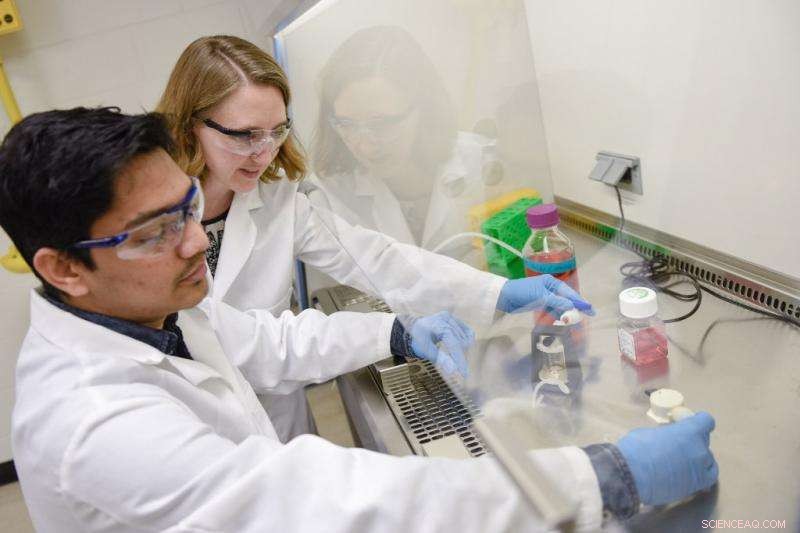 Using Virus Hydrophobicity to Enhance Vaccine Purification