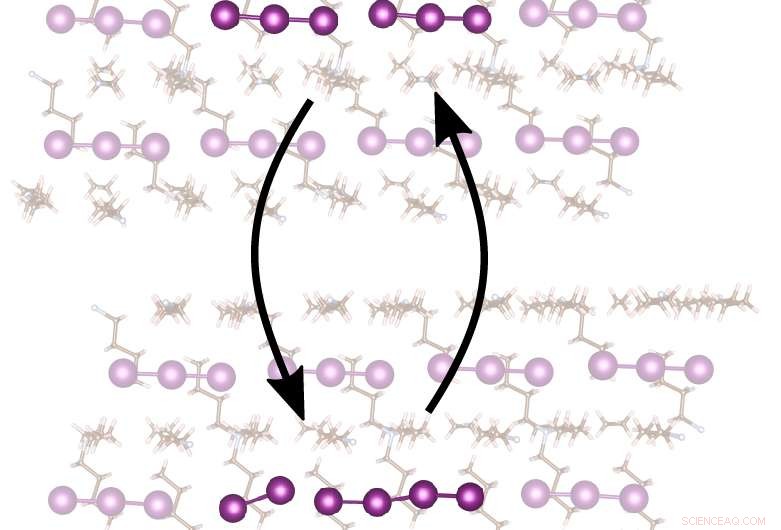 New Intermediate Unveiled in Classic Triiodide Photodissociation Reaction