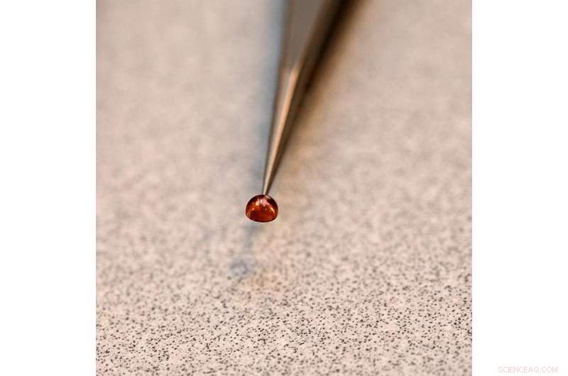 Scientists Map Giant Samba Virus Structure at Michigan State University