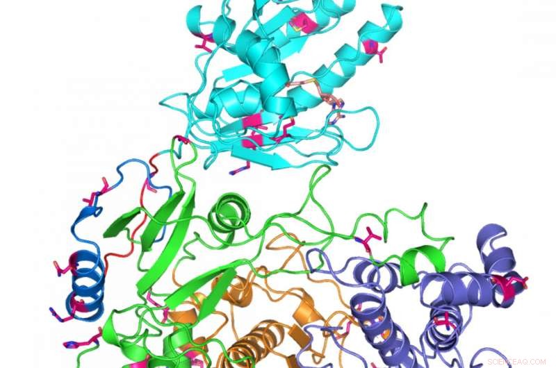 Indiana University Uncovers Zika NS5 Protein Structure, Accelerating Cure Search