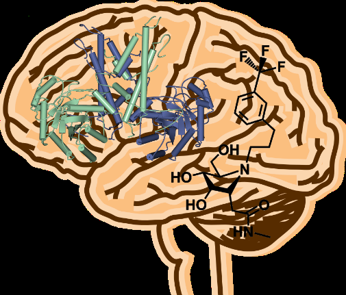 3D Enzyme Structure Revealed: Paving the Way for Targeted Brain Disease Therapies